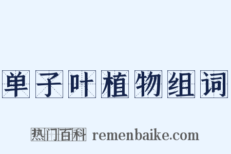 单子叶植物组词是什么意思的图片